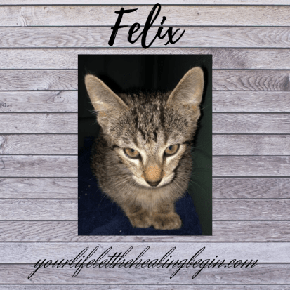 yourlifeletthehealingbegin.com-7