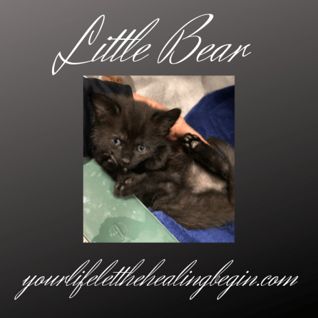 yourlifeletthehealingbegin.com-8