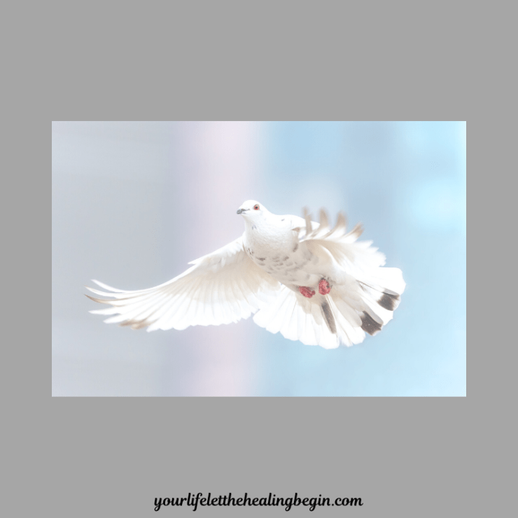 yourlifeletthehealingbegin.com-21